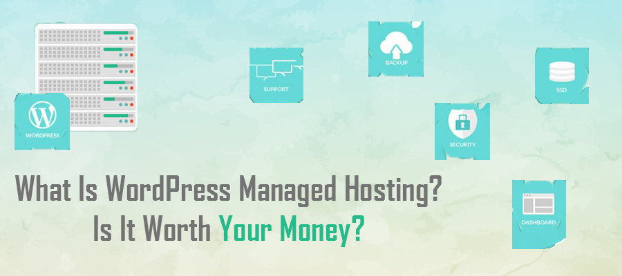 Managed WordPress Hosting Value