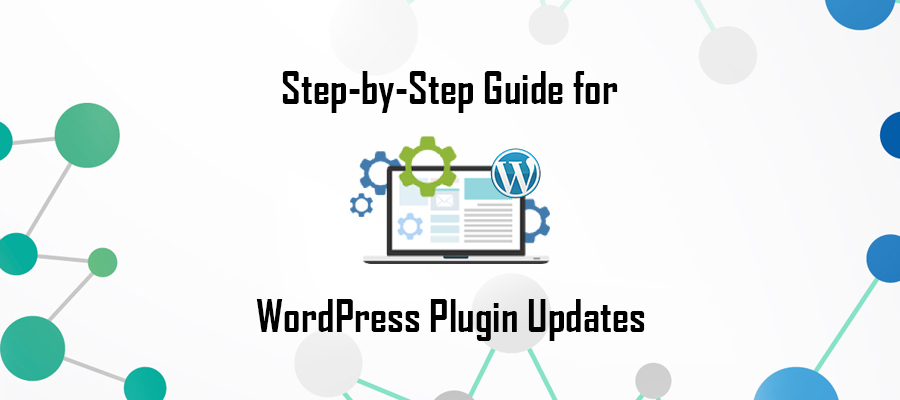 Guide for WP Plugin Updates