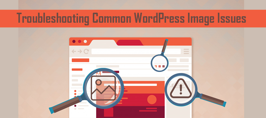 Common WordPress Image Issues